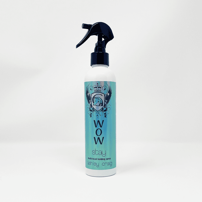 Wow Stay (Multi Level Holding Spray)