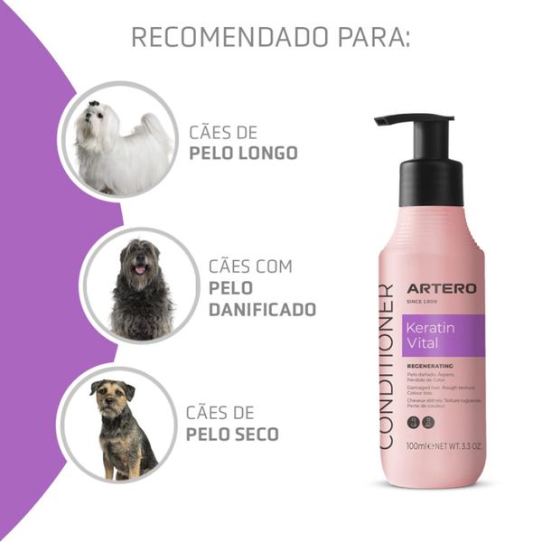 Artero Keratin 100 ml